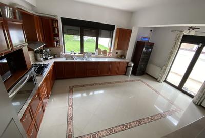 Vila superba - 7 camere - vanzare - Iancu Nicolae - Padurea Baneasa - 6