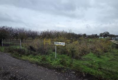 Teren Aleea Viilor Adunatii Copaceni - 4