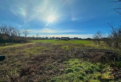 Teren de 1400 mp la strada principala in Salard - Bihor - 1