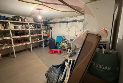 Casa / Vila deosebita in Golesti S+P+1E - 14