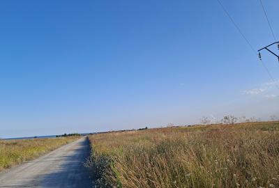 Teren Construcții intravilan de 515 mp, în Corbu