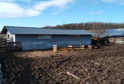 OPORTUNITATE! FERMA FUNCTIONALA, CASA RENOVATA SI TEREN 5HA - 11