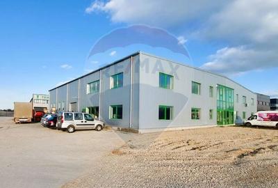 Spațiu industrial, 687 mp în Mogoșoaia