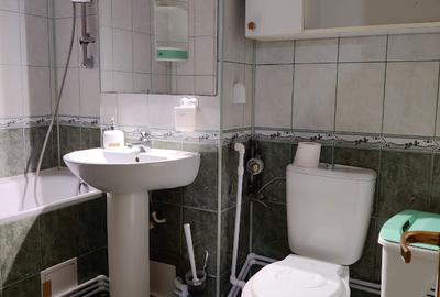 Tineretului - Vacaresti, parc, centrala termica proprie - 8