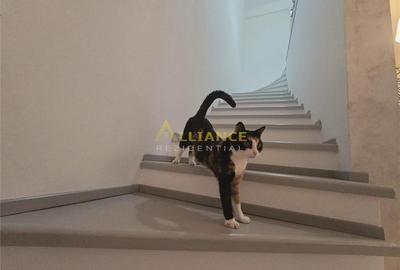 Casă cu 3 camere în Berceni