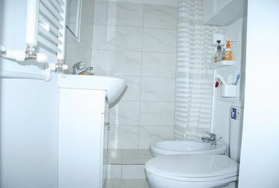 P-ta Mihail Kogalniceanu - Cismigiu, apartament deosebit 2 camere, etaj 1 - 9