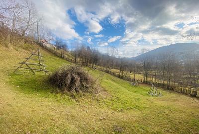 Teren in sat, cu fundație casa P+1, vedere largă, lângă rău - 10