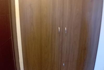 Apartament 2 Camere,Piata Victoriei,Amenajat,mobilat,utilat,complet - 16