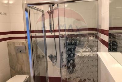 Apartament cu 3 camere de închiriat în zona Nufărul - 13