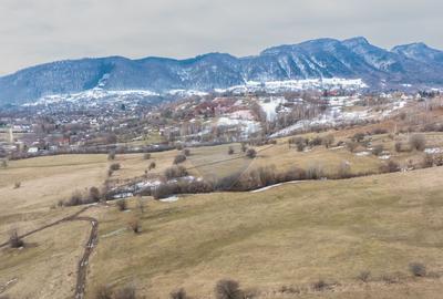 Teren Construcții intravilan de 5602 mp, în Tohanu Nou