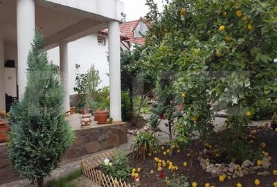 Casa / Vila, 240 mp, zona Cristian Brasov - 4