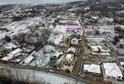 Teren intravilan pentru constructii de vanzare in Podgoria Oradea, Oradea - 3