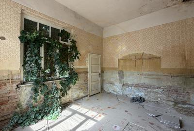 Casă de renovat cu teren 557 mp, central Str. Gh. Barițiu - Carei - 10