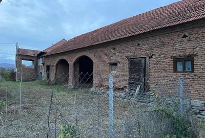 Densuș, casă de vânzare, pozitie extraordinara, 2000 mp teren - 2