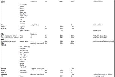 TEREN INTRAVILAN 17.714 MP – SCROVIȘTEA / BĂLTENI – LÂNGĂ PĂDURE - 13