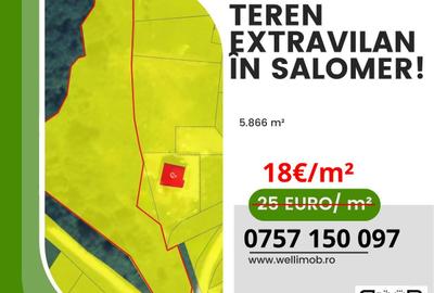 De vânzare teren extravilan în Salomer! - 1
