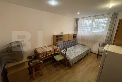 Garsonieră semidecomandată, mobilată în Calea Severinului