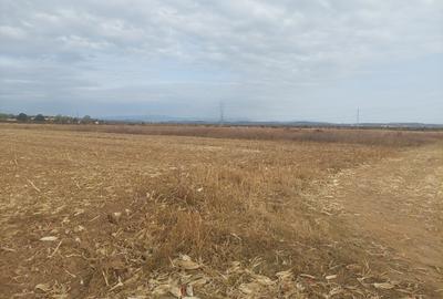 Teren dezvoltare rezidentiala / industriala, Dumbrava / Targoviste - comision 0% - 6