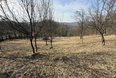 Teren intravilan 2788 mp deschidere 55 ml cu vedere panoramica ! - 7