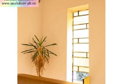 Vila interbelică D+P+E+M, 430 mp(9 camere, 6 bai,3 bucatarii) central - 10
