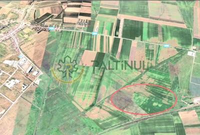 Teren extravilan arabil cu potențial – Sura Mică, Sibiu , aproape de Polycontact - 2