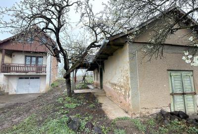 De vânzare 2 Case de vinificație cu Teren 4108 mp - Grădina Viilor - Carei - 15