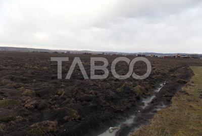Teren intravilan de vanzare 10.000 mp in zona Industriala Vest Sibiu - 4