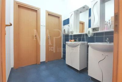 Spatiu industrial de vanzare in Bors - 9