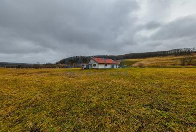 COMISION 0! Casa ULTRAFINISATA - 32