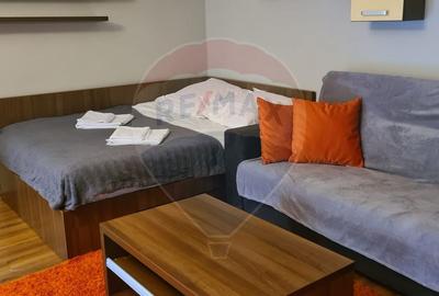 Apartament cu 1 camere de închiriat în zona Vitan Mall - 1