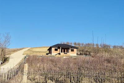 Casa individuala cu verere frumoasa - 1