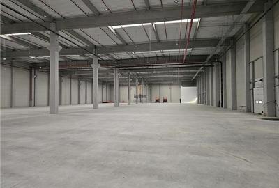 Spatii Industriale - 5000 mp - Logistica - Productie - Depozitare - 7