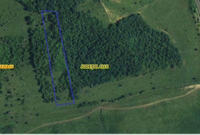 Teren de vanzare in Valcele - 1