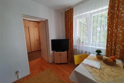 Decebal-Voronet, apartament tip studio, centrala proprie, mobilat-utilat, ideal - 8