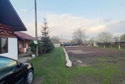 Casa - cadru natural de poveste, Al. cel Bun - 3