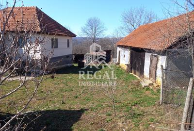 Două case de vânzare – Cerisor – teren generos 6996 mp - 11