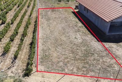 Teren de vanzare intravilan Pelendava,500 mp, toate utilitatile - 1