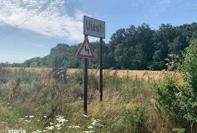 Proprietar vand teren langa Domnesti in Bucsani la padure - 1
