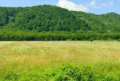 Vanzare teren intravilan 3000 mp, deschidere 28 m cu utilități Măgureni, Prahova - 1