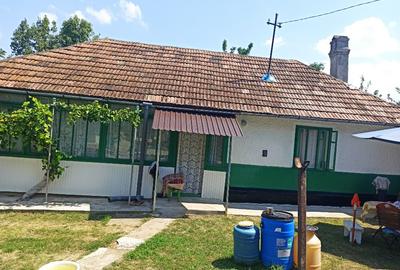 Vând casă parinteasca localitatea Vlădeni, com. Corlăteni, jud. Botoșani - 3