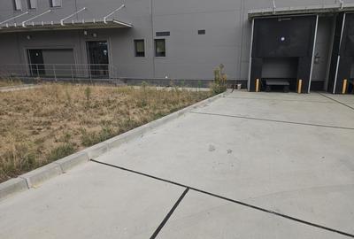 Drumul Intre Tarlale - A2- Palady depozit farma, produse alimentare, - 1