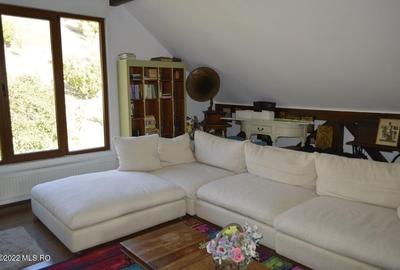 Topoloveni - Conacul Ion Mihalache, Domeniu pe 5 Hectare! - 31