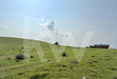Teren 1003 mp în Păltiniș | Priveliște panoramică către munți - 5