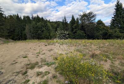 Parcele teren intravilan cu utilitati-panoramic-Colibita - 3