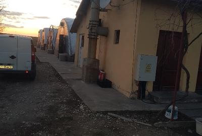 Vând teren intravilan 10.000mp +casa+anexe(spatii prodictie-depozitare) - 1