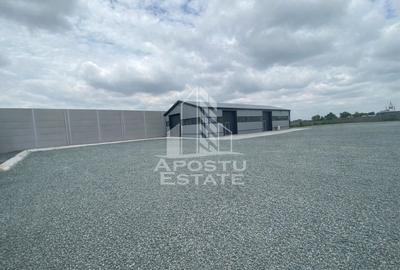 Hala de închiriat – Sacalaz,  curte generoasă, show-room, service auto - 1