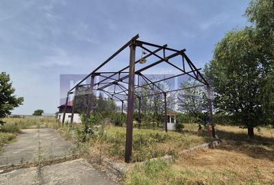 De vanzare teren industrial in Calarasi/Belciugatele - 13