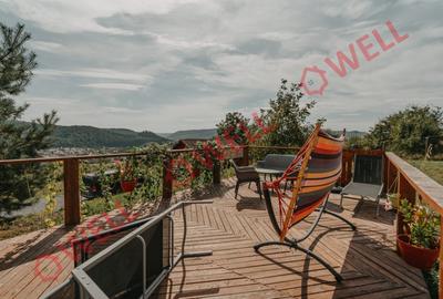 DE VÂNZARE CASĂ FAMILIALĂ, SOVATA - 14