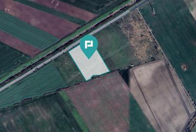 Teren 22.500 mp–Pecica, jud. Arad,Posibilitate PUZ - 15
