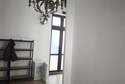 Timpuri Noi,  2 camere inalte, 60 mp, birou/ workshop - 2